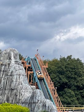 日本モンキーパークに投稿された画像（2025/11/10）