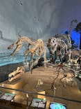 福井県立恐竜博物館に投稿された画像（2025/11/10）