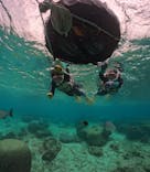 武藤潜水に投稿された画像（2025/11/10）