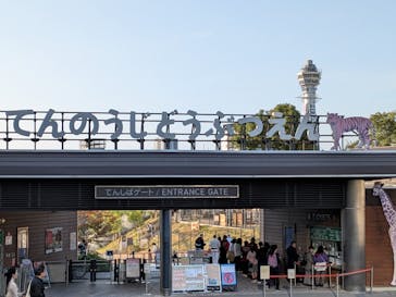 天王寺動物園に投稿された画像（2025/11/10）