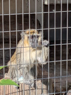 天王寺動物園に投稿された画像（2025/11/10）