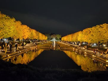 国営昭和記念公園 秋の夜散歩に投稿された画像（2025/11/10）