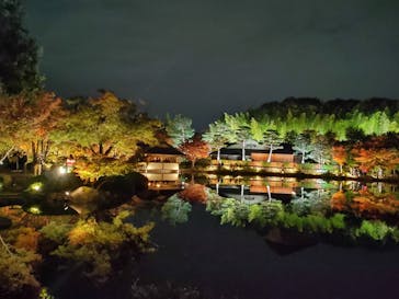 国営昭和記念公園 秋の夜散歩に投稿された画像（2025/11/10）