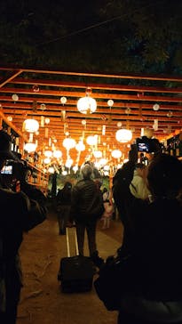 国営昭和記念公園 秋の夜散歩に投稿された画像（2025/11/10）