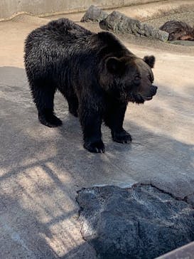 阿蘇カドリー・ドミニオンに投稿された画像（2025/11/10）