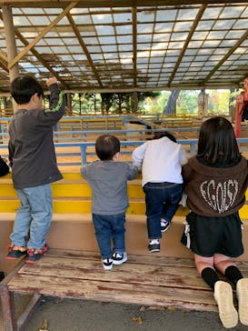 阿蘇カドリー・ドミニオンに投稿された画像（2025/11/10）