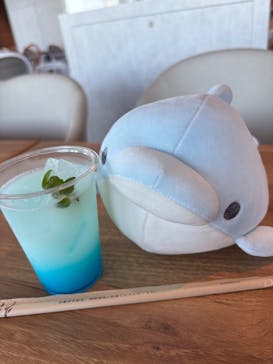 アクアワールド茨城県大洗水族館に投稿された画像（2025/11/10）