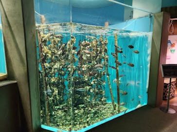 仙台うみの杜水族館に投稿された画像（2025/11/10）