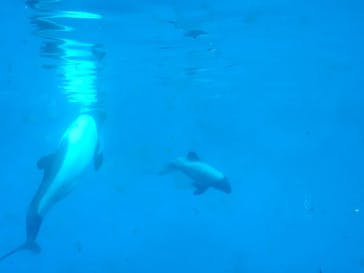 仙台うみの杜水族館に投稿された画像（2025/11/10）