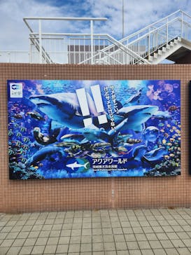 アクアワールド茨城県大洗水族館に投稿された画像（2025/11/10）