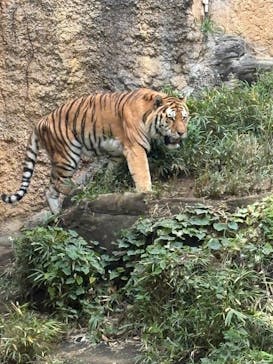 多摩動物公園に投稿された画像（2025/11/10）