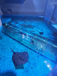 登別マリンパークニクスに投稿された画像（2025/11/10）