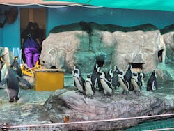 登別マリンパークニクスに投稿された画像（2025/11/10）