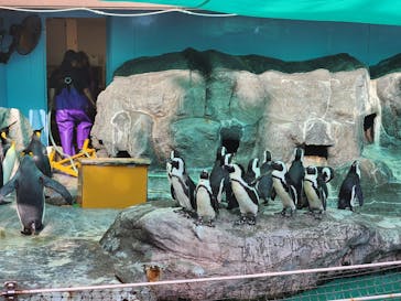 登別マリンパークニクスに投稿された画像（2025/11/10）