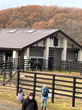 ノーザンホースパークに投稿された画像（2025/11/10）