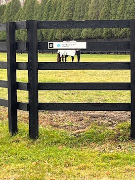 ノーザンホースパークに投稿された画像（2025/11/10）