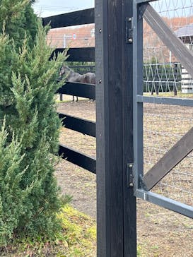 ノーザンホースパークに投稿された画像（2025/11/10）