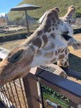伊豆シャボテン動物公園に投稿された画像（2025/11/10）