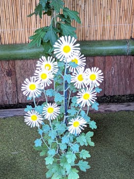 新宿御苑に投稿された画像（2025/11/10）