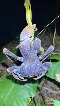 宮古島マリンショップSmileyに投稿された画像（2025/11/10）