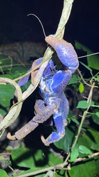 宮古島マリンショップSmileyに投稿された画像（2025/11/10）