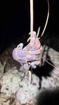 宮古島マリンショップSmileyに投稿された画像（2025/11/10）