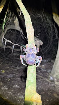 宮古島マリンショップSmileyに投稿された画像（2025/11/10）