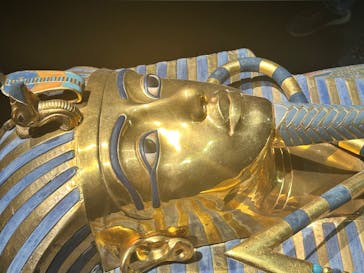MYSTERY OF TUTANKHAMEN 体感型古代エジプト展に投稿された画像（2025/11/10）
