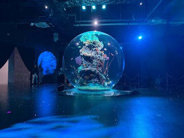 AQUARIUM × ART　atoaに投稿された画像（2025/11/10）
