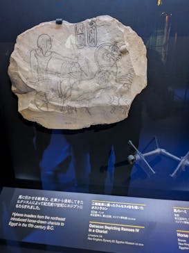 ACN ラムセス大王展 ファラオたちの黄金に投稿された画像（2025/11/10）