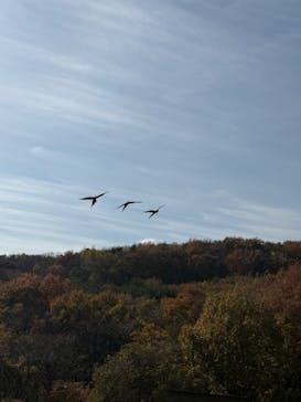 那須どうぶつ王国に投稿された画像（2025/11/10）