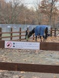 ノーザンホースパークに投稿された画像（2025/11/10）