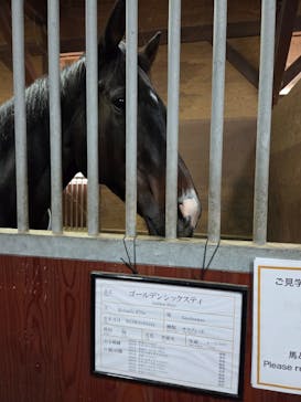 ノーザンホースパークに投稿された画像（2025/11/10）