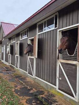 ノーザンホースパークに投稿された画像（2025/11/10）