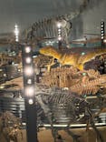 福井県立恐竜博物館に投稿された画像（2025/11/10）