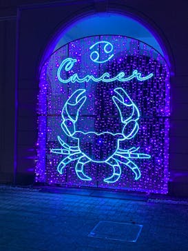 神戸イルミナージュに投稿された画像（2025/11/10）