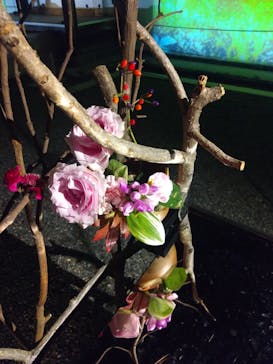 NAKED meets 二条城 2025 観月に投稿された画像（2025/11/10）