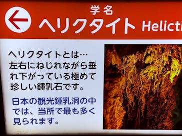 飛騨大鍾乳洞＆大橋コレクション館に投稿された画像（2025/11/10）