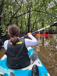 西表島 ADVENTURE PiPi（アドベンチャーピピ）に投稿された画像（2025/11/10）