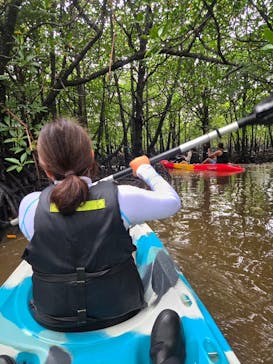西表島 ADVENTURE PiPi（アドベンチャーピピ）に投稿された画像（2025/11/10）