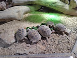 カワスイ 川崎⽔族館に投稿された画像（2025/11/10）