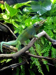 カワスイ 川崎⽔族館に投稿された画像（2025/11/10）