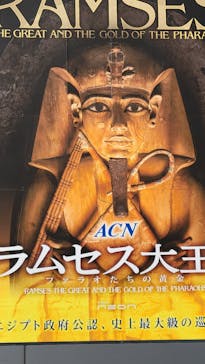 ACN ラムセス大王展 ファラオたちの黄金に投稿された画像（2025/11/10）