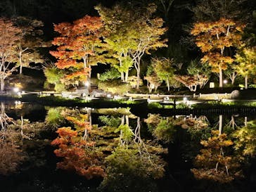 国営昭和記念公園 秋の夜散歩に投稿された画像（2025/11/10）