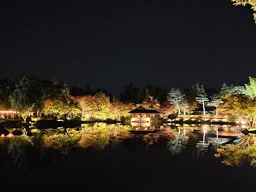 国営昭和記念公園 秋の夜散歩に投稿された画像（2025/11/10）
