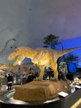 福井県立恐竜博物館に投稿された画像（2025/11/11）
