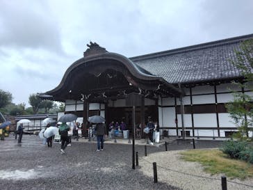 元離宮二条城に投稿された画像（2025/11/10）