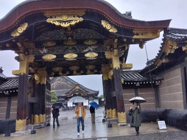 元離宮二条城に投稿された画像（2025/11/10）