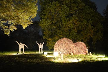 国営昭和記念公園 秋の夜散歩に投稿された画像（2025/11/10）
