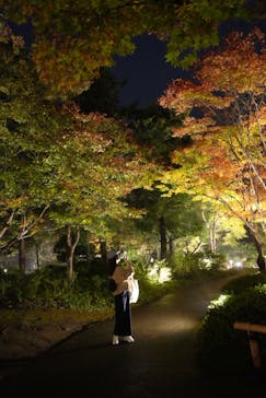 国営昭和記念公園 秋の夜散歩に投稿された画像（2025/11/10）